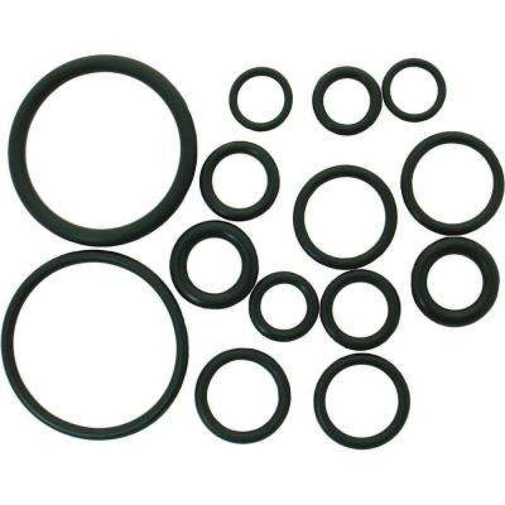 O Ring for Oil and Gas Industry WANJUN